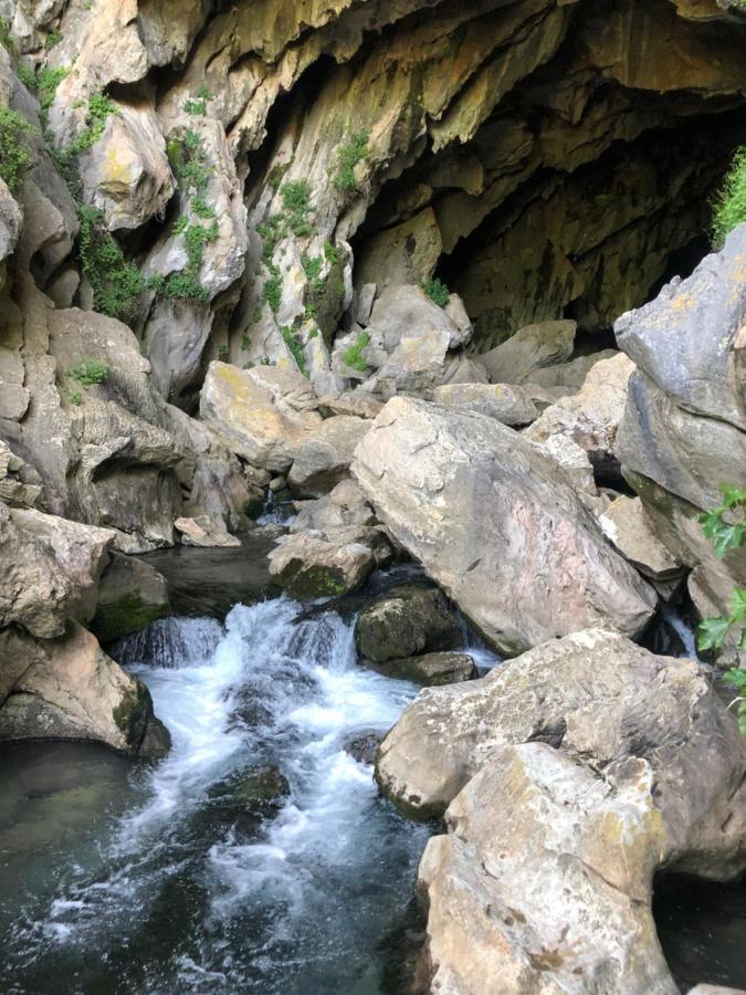Casa Rural Leo&Manu Benaoján Dış mekan fotoğraf