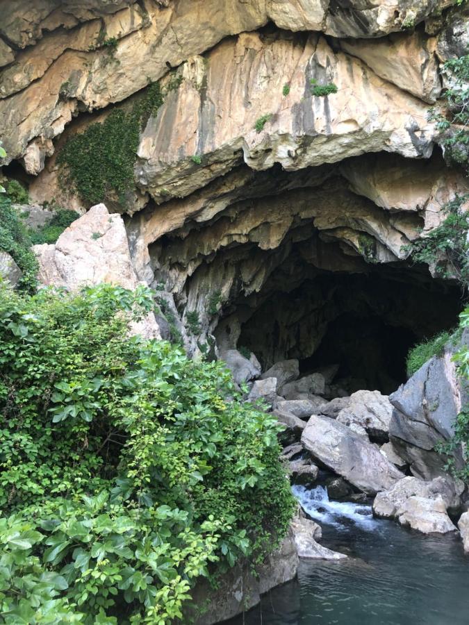 Casa Rural Leo&Manu Benaoján Dış mekan fotoğraf